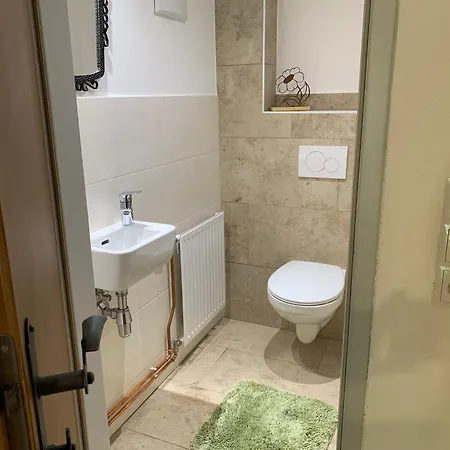 Zirbenzapfen - Auszeit In Den Seetaler Alpen