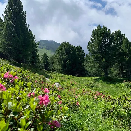 Zirbenzapfen - Auszeit In Den Seetaler Alpen Διαμέρισμα Judenburg