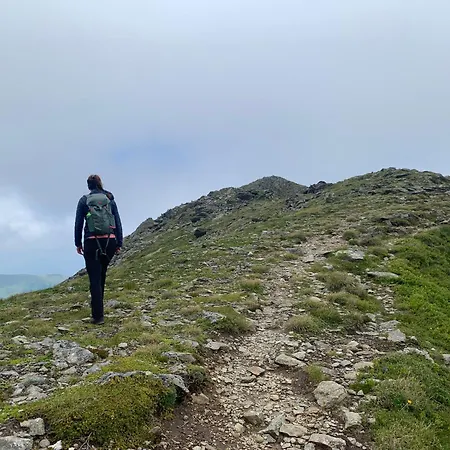 Zirbenzapfen - Auszeit In Den Seetaler Alpen *