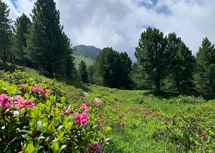 Zirbenzapfen - Auszeit In Den Seetaler Alpen 公寓 尤登堡