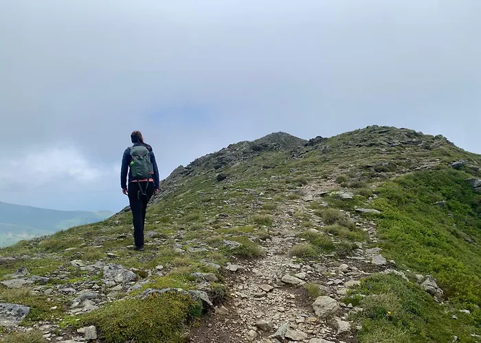 Zirbenzapfen - Auszeit In Den Seetaler Alpen *