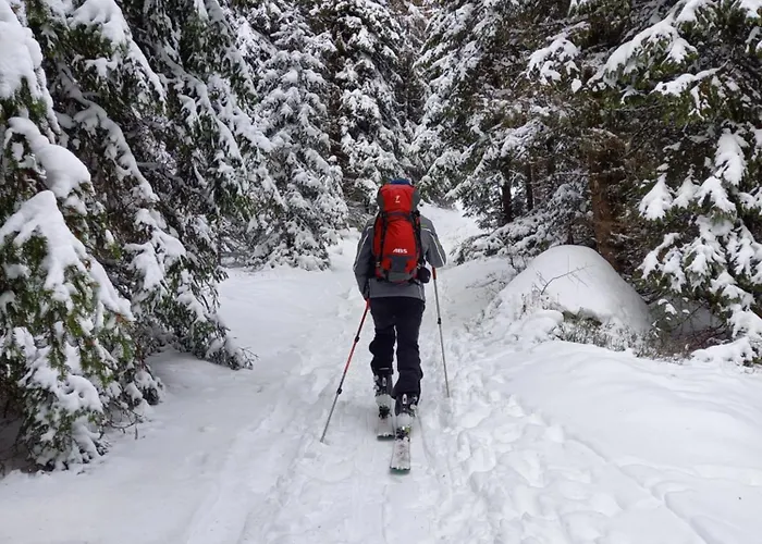 公寓 Zirbenzapfen - Auszeit In Den Seetaler Alpen