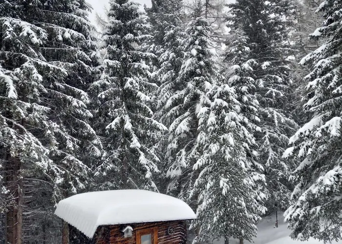 Zirbenzapfen - Auszeit In Den Seetaler Alpen 公寓 *